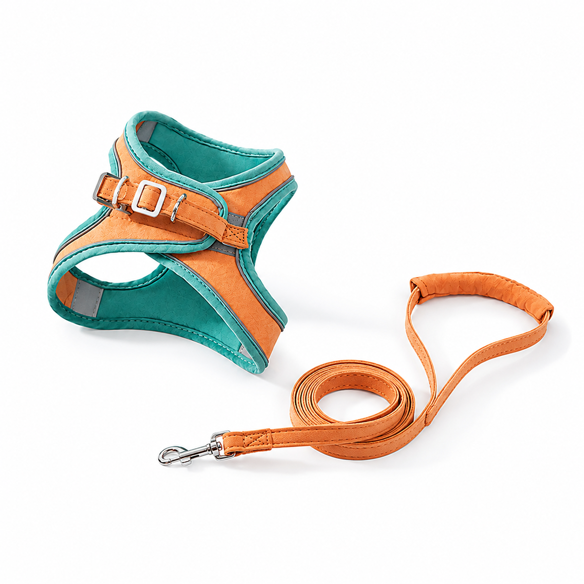 Pet Harness & Leash Set