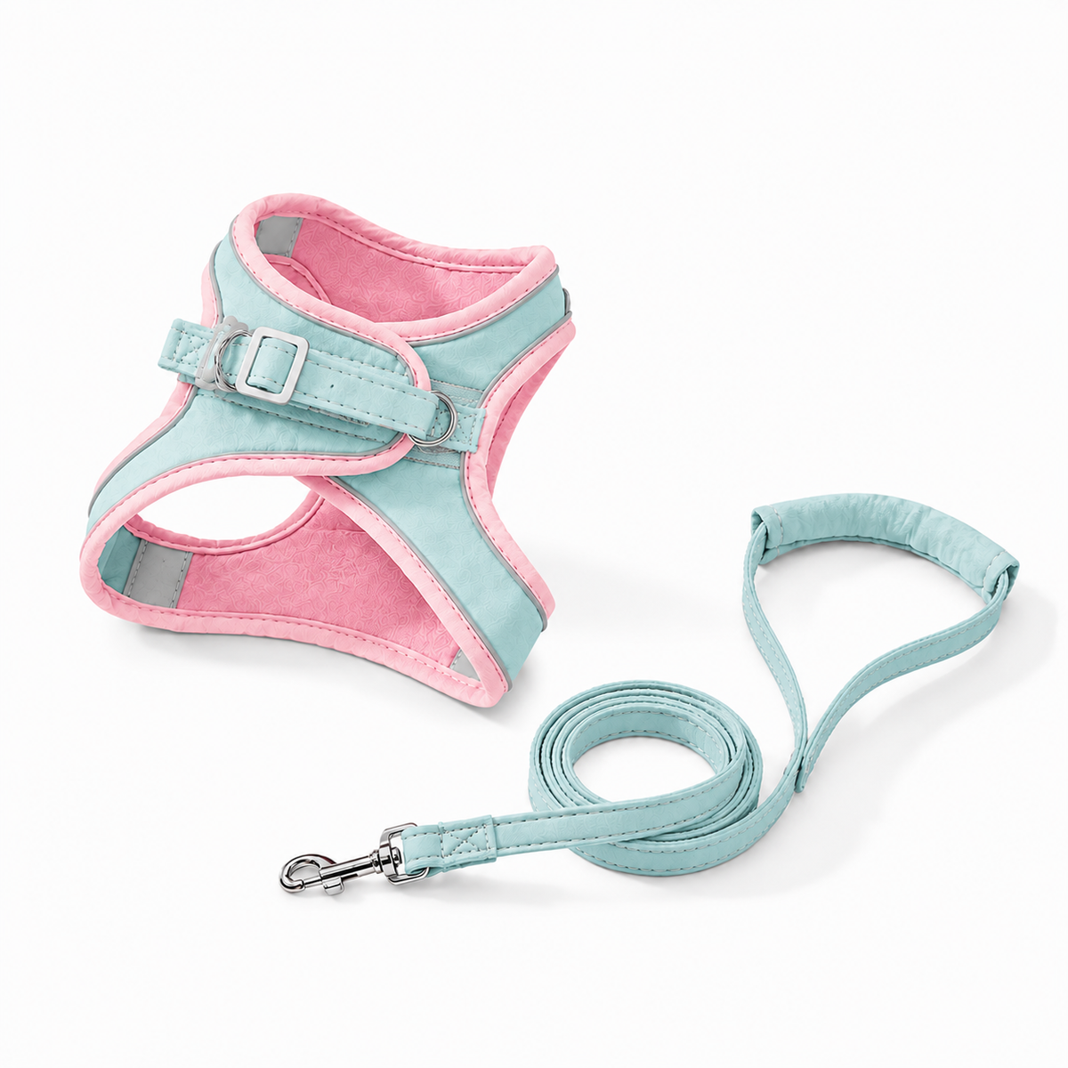 Pet Harness & Leash Set